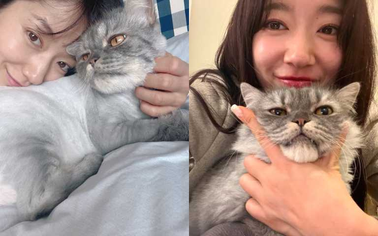 (圖/取自 ssinz7 IG)