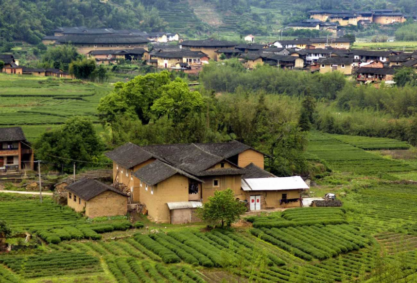 福建南靖是中國著名的茶鄉,隨處都可見茶園環抱。(圖/吳德亮攝影)