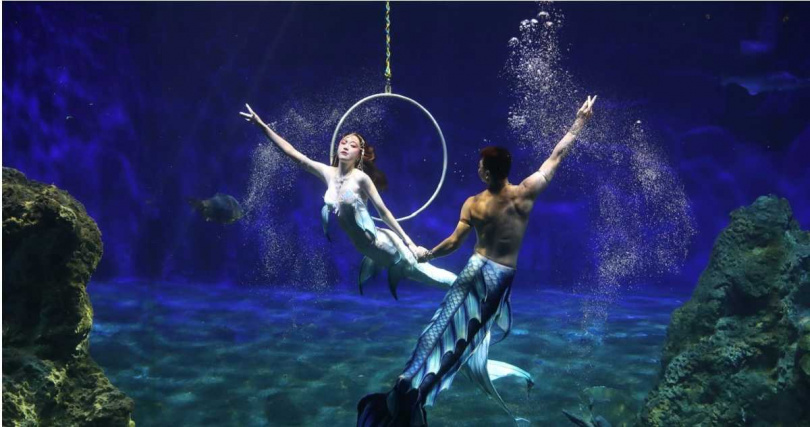 遠雄海洋公園備受歡迎的美人魚實境秀「印度洋心之旅」。(圖/遠雄海洋公園提供)