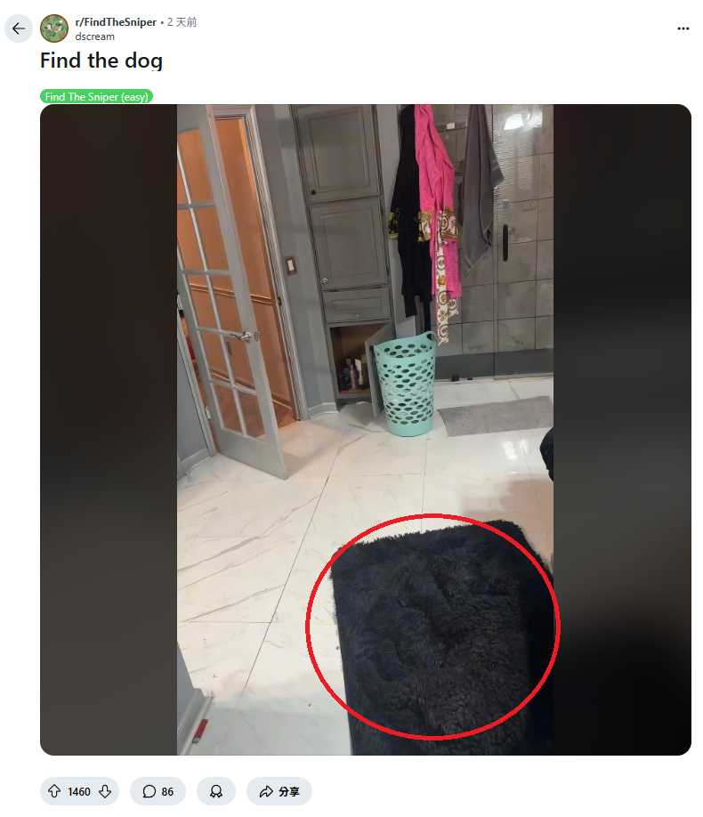 挑戰圖片中，狗的毛色與背景幾乎融為一體，網友在留言區熱烈討論解題技巧。（圖／Reddit）