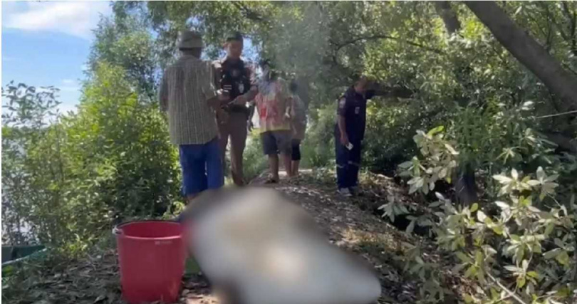 泰國沙沒巴干府一處種植園發生疑似過敏致死意外，死者倒臥地面，身旁無明顯外傷，僅見多處螞蟻叮咬痕跡。（圖／翻攝自FB，หมอข่าว ออนไลน์）