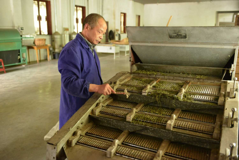 君山島上君山銀針的製作車間。（圖／吳德亮攝影）