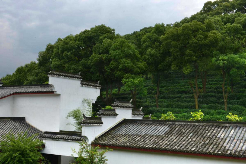 茶園在徽派建築特色的馬頭翹角中呈現。（圖／吳德亮攝影）
