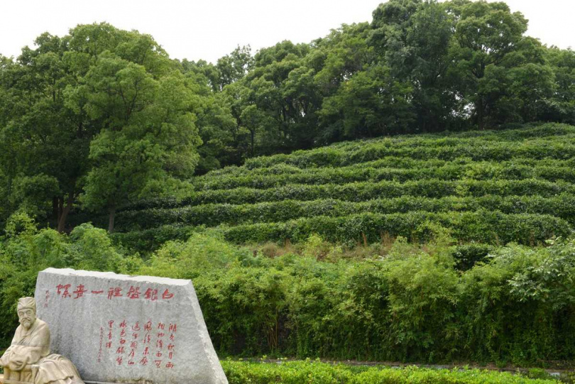 唐代大詩人劉禹錫謂君山島的題詩「遙望洞庭山水翠，白銀盤裡一青螺」。（圖／吳德亮攝影）