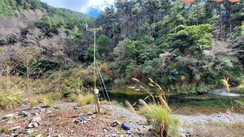 雪霸國家公園的研究團隊首次在七家灣溪設置猛禽棲架並搭配自動相機,成功拍攝到臺灣最大貓頭鷹-七家灣溪畔的猛禽棲架。(圖/雪霸管理處提供)