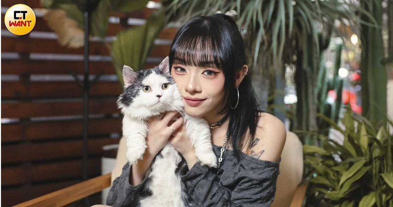 咪嚕曾被前主人退貨，最後被17帶回家。（圖／楊澍、侯世駿攝）