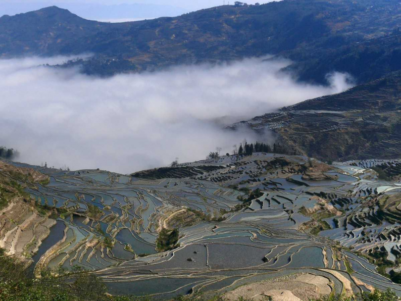 元陽梯田四季都有不同氣勢的大地交響曲,觀看千遍也不會厭倦。(圖/吳德亮攝)
