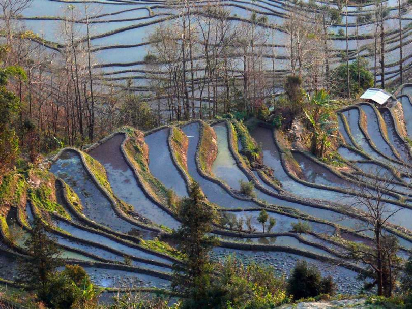 元陽梯田近看的磅礡之美。(圖/吳德亮攝)