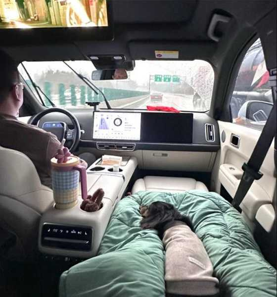 小紅書博主「椒鹽小地瓜」開車1400公里帶狗回老家。（圖／翻攝自封面新聞）