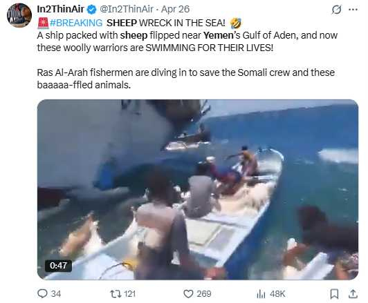 貨輪意外翻覆，導致2千隻羊群落海。（圖／翻攝自X）