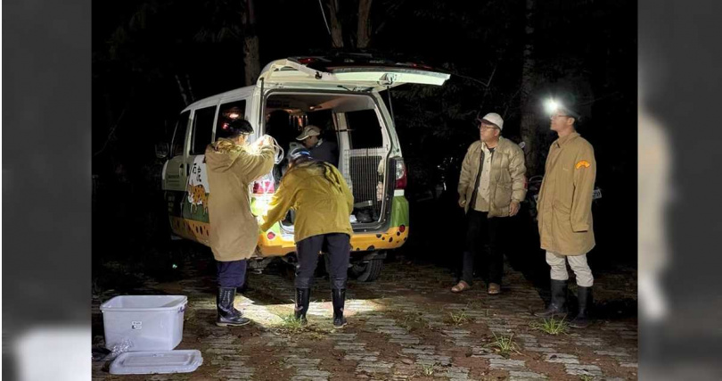 今日凌晨12點完成救援，順利將黑熊送上車載往集集野生動物急救站。（圖／林業署提供／中國時報記者李京昇台中傳真）