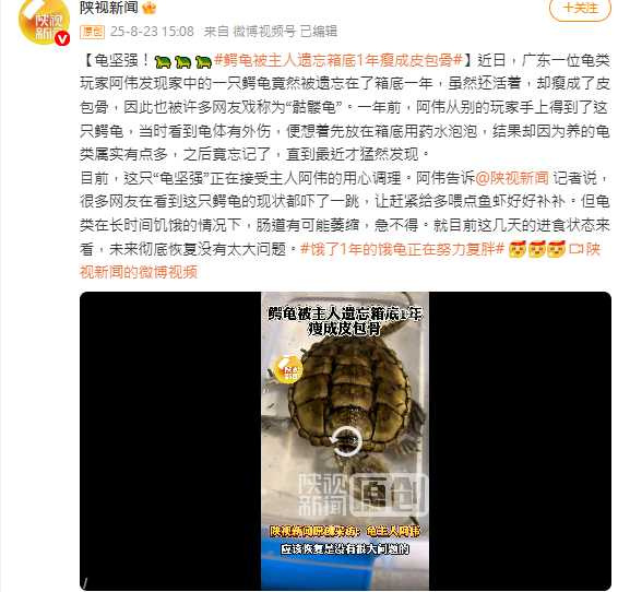 專家提醒,飼養寵物龜需細心照料,避免因疏忽導致意外。(圖/翻攝自微博, 陝視新聞 )