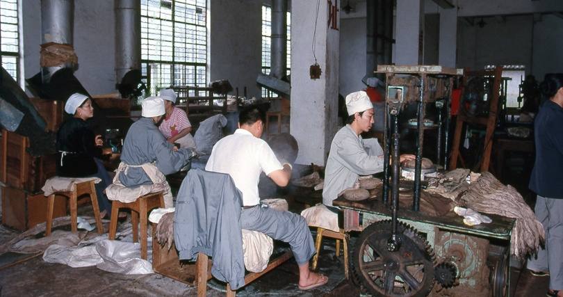 90年代國營勐海茶廠從秤重至蒸壓成餅的作業情景。（圖／吳德亮攝）