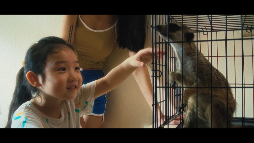 小童星葉子綺在電影中與狐獴有許多的對手戲。(圖/光年映畫提供)