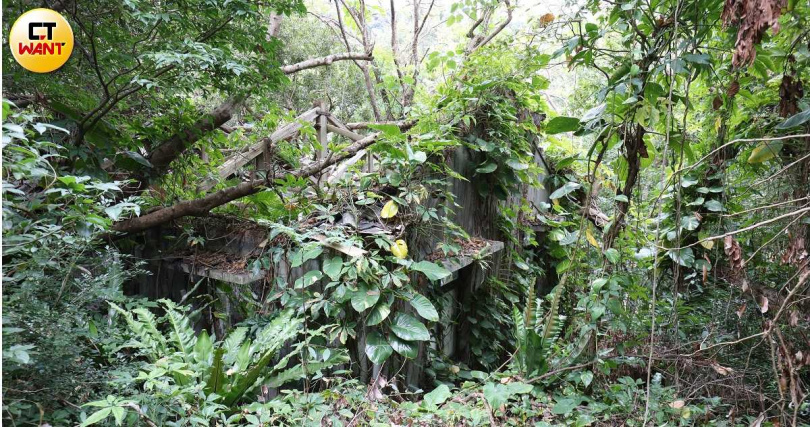 士林官邸12.9公頃全區建築大多漆成深綠色，為的就是讓敵軍從空中無法辨明建築，繼而減少被鎖定甚至轟炸的危機。（圖／方萬民攝）