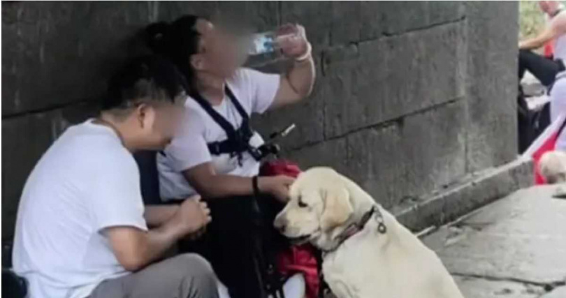 。北京盲人夫妻帶導盲犬「芬迪」登泰山，雨中畫面曝光後引發外界爭議。（圖／翻攝自微博， 羊城晚報微信公眾號）