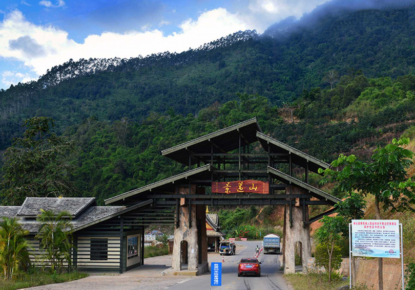 今日景邁萬畝古茶園以設有牌樓柵欄管制入山。（圖／吳德亮攝）