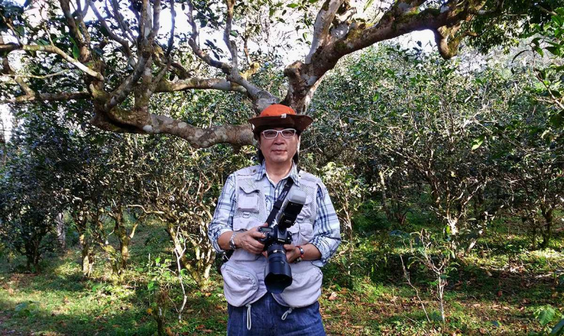 本文作者早於2001年就不斷前往景邁萬畝古茶園拍照採訪。（圖／吳德亮攝）