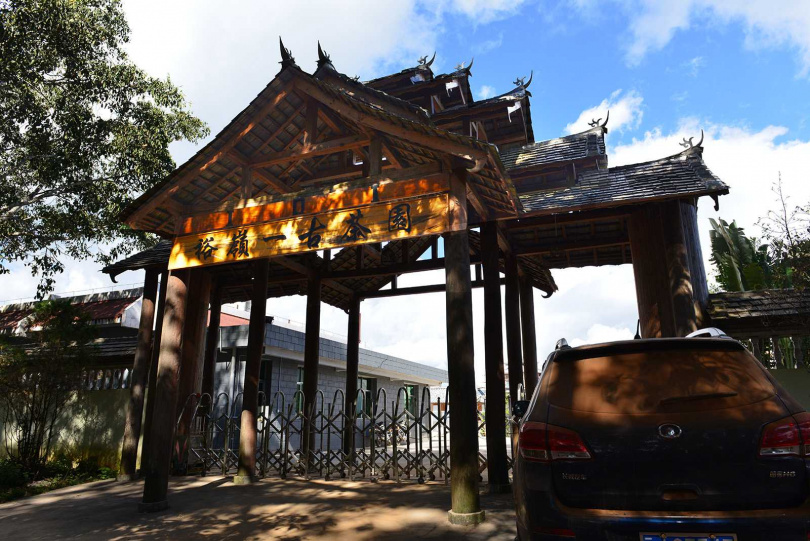 景邁山茶園由台商開創的瀾滄裕嶺一公司取得50年經營權。（圖／吳德亮攝）