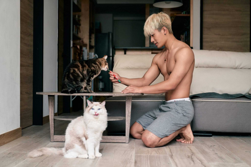 原本刺刺還養了一隻布偶貓悟空，但後來由朋友接養。（圖／造星文創娛樂有限公司提供）