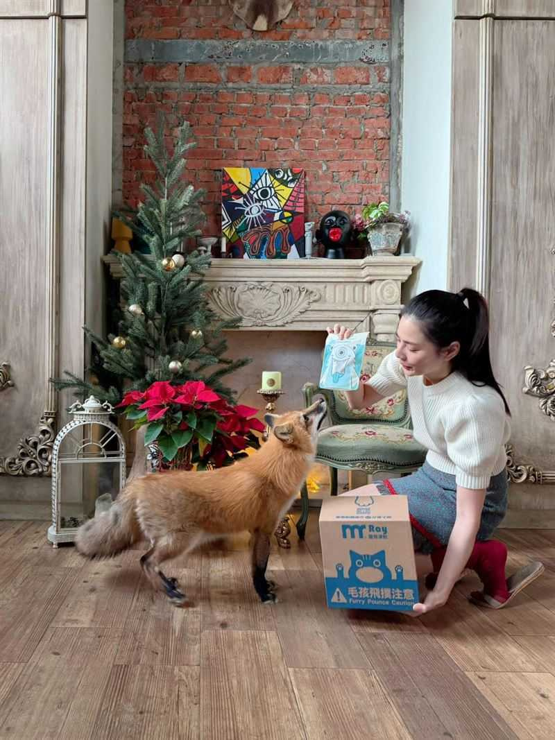 蕭瑋葶涉嫌詐欺取財,還在家中飼養狐狸作為寵物。(圖/翻攝自臉書,蕭瑋葶 Na-Xiao)