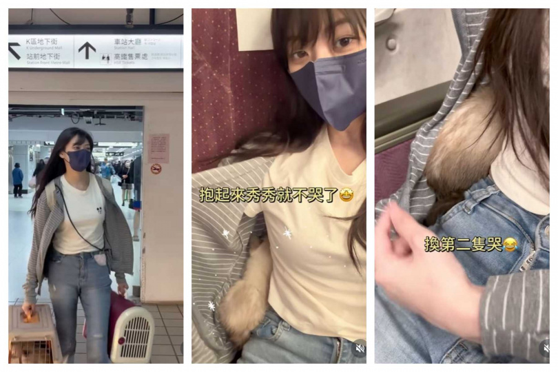 林逸欣在高鐵車廂內安撫幼貓的畫面曝光後，引發部分網友提醒寵物攜帶規定。