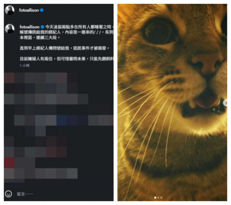 林予晞曬出家中貓咪,笑稱為「嫌疑人」,誤觸手機釀烏龍。(圖/翻攝自Instagram/fotoallison)