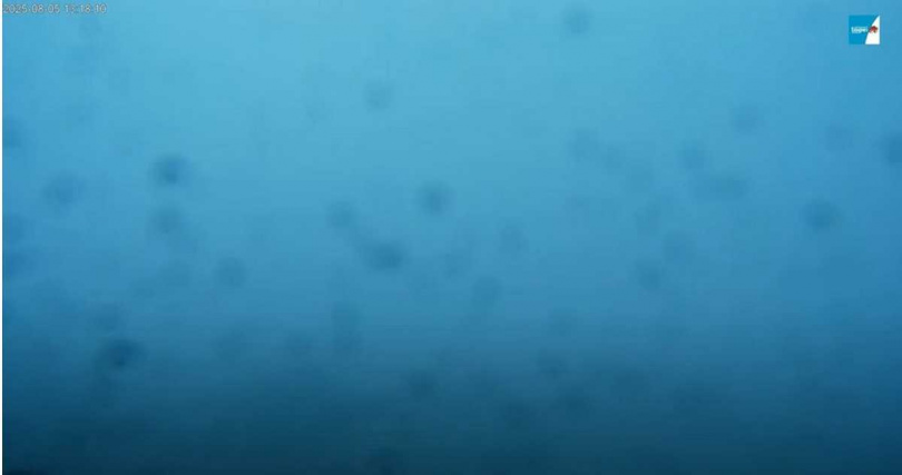 下午1時18分時,因雨勢漸大影響直播訊號,沒過多久便中斷。(圖/翻攝自YouTube/象山看台北-4K即時影像)