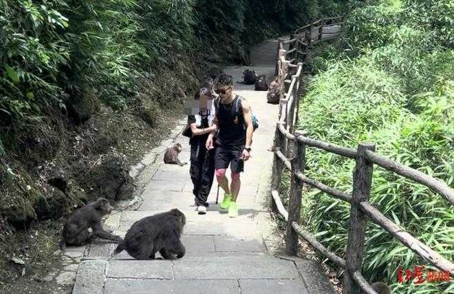 總領隊針對外界疑慮回應。（圖／翻攝自紅星新聞）