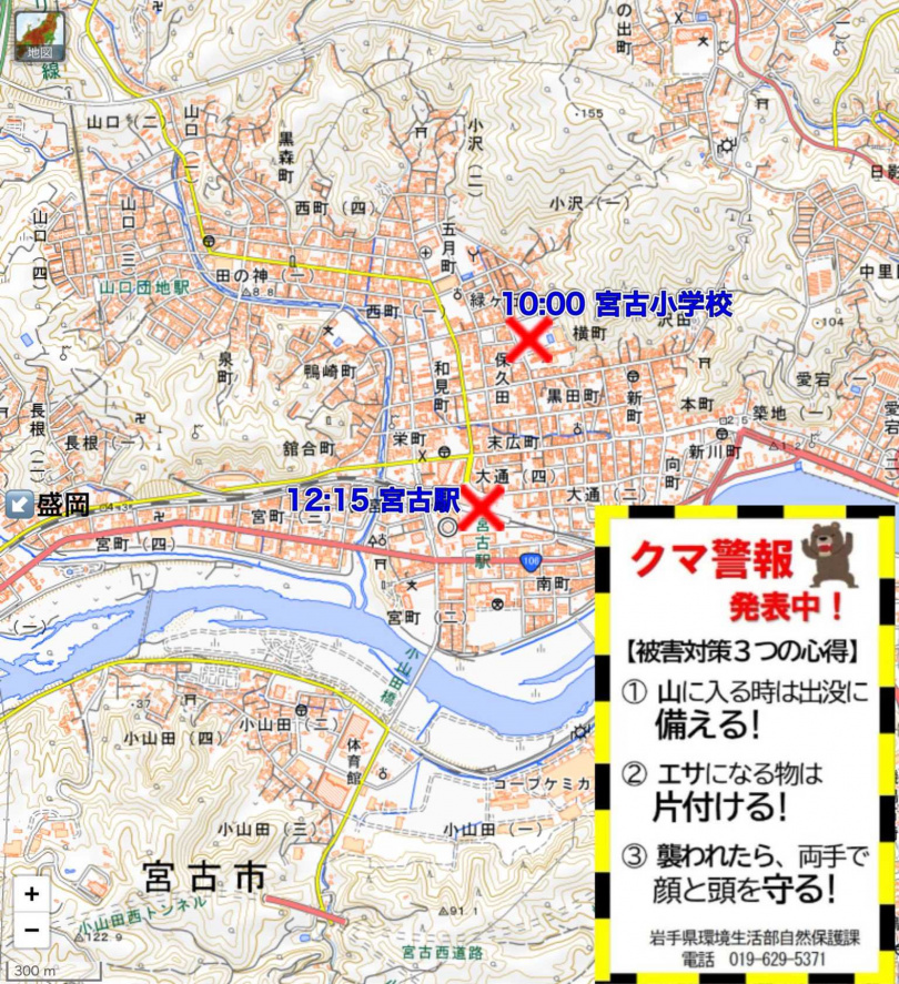日本11月1日多地連續傳出熊出沒與攻擊事件。(圖/翻攝自X平台/@pencorocororin)