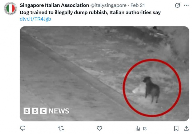 卡塔尼亞市公布監視器畫面,一隻小狗叼著垃圾袋沿街行走,隨後將垃圾放置路邊。(圖/翻攝自X,@italysingapore)