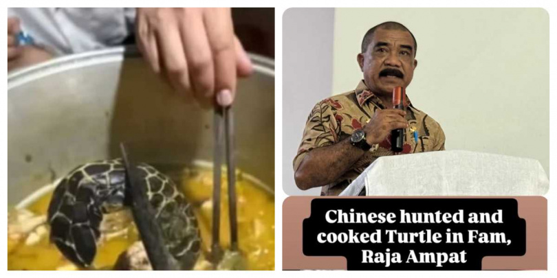 網路流傳潛水者持魚槍接近海龜的畫面,引發當地原住民族群及海洋保育人士關注。(圖/翻攝自Teropong News)