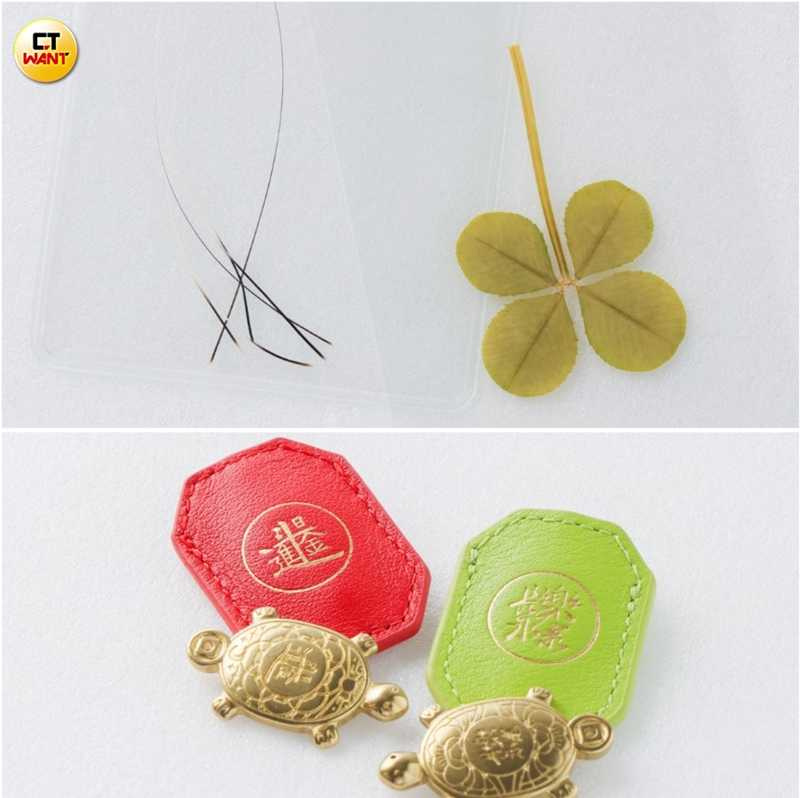 除了錢包之外,還有帶來好運的貓鬚、粉絲特別送給林岱縈的幸運草,為她求來的錢龜,據說可以幫忙咬錢回家,幫忙招財。(圖/林士傑攝)