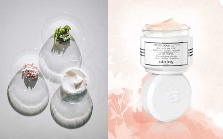 Sisley美頸霜–減齡滋養配方50 ml/5,600元（圖／品牌提供）。