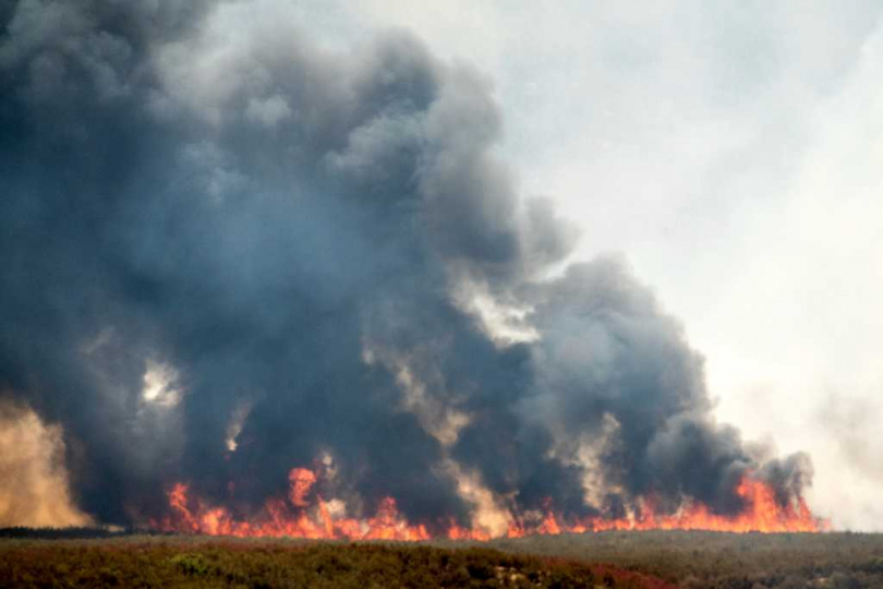 加州中部的「吉福德大火」(Gifford Fire)。(圖/達志/美聯社)