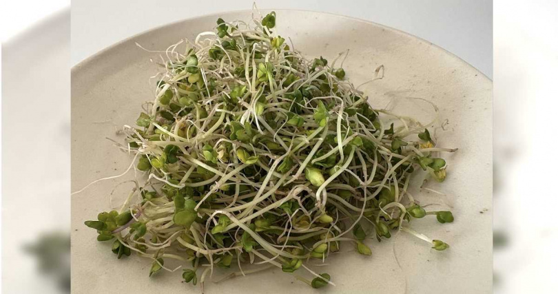 醫師分享，「花椰菜芽苗」擁有豐富的蘿蔔硫素，不僅能改善肝指數，還能有效降低膽固醇、三酸甘油脂及血糖。（圖／擷取自Facebook／思思醫師，陪你健康的好朋友）