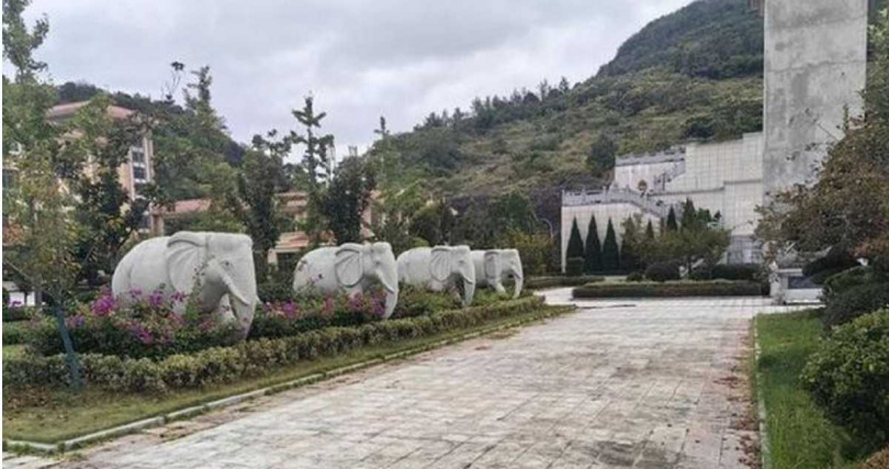 殯儀館園區雜草叢生、建築牆體斑駁，宛如荒廢工程。 （圖／翻攝自新黃河）