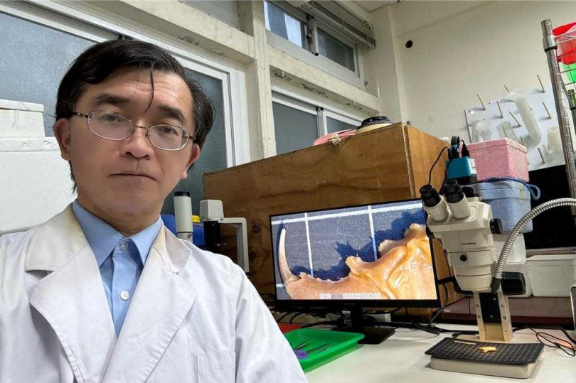 台南大學生科系副教授黃銘志發表來自西沙群島海域的深海等足類新物種，並命名為「西沙深水虱」。（圖／台南大學提供）