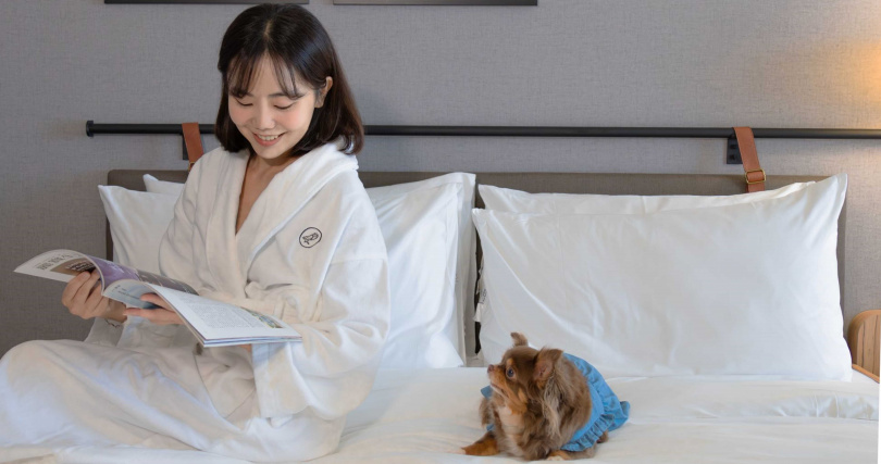 嘉義福容voco酒店_即日起至10月6日入住寵物主題房並完成拍照打卡，即可獲贈「蜜香小蛋糕」，讓毛小孩也能嚐到月光般的甜蜜滋味！（圖片提供／福容大飯店）