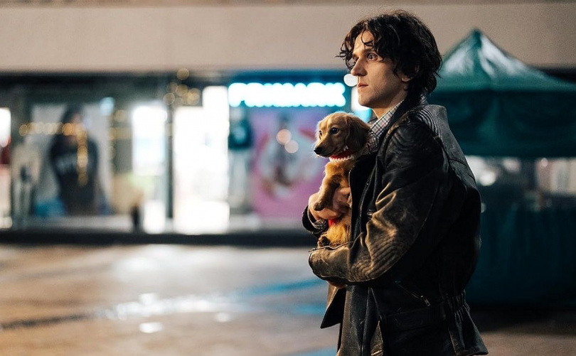 哈利梅林被當「一袋馬鈴薯」《後座力》連掃3座影帝大獎。(圖/海鵬提供)