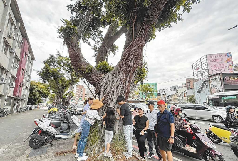 台中崇德路人行道改善工程將汰換大量行道樹，公民團體19日在崇德路、五權路口舉辦「謝樹儀式」。（圖／中國時報馮惠宜攝）