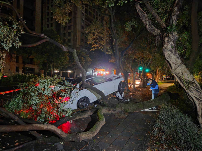 北市信義區松德路上9日凌晨發生一起死亡車禍。(圖/翻攝畫面)