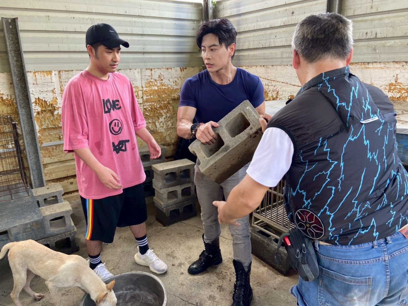 鹿希派、唐子元與志工一起搬磚幫助重建家園，展現man power。（圖／調皮浪浪園區）