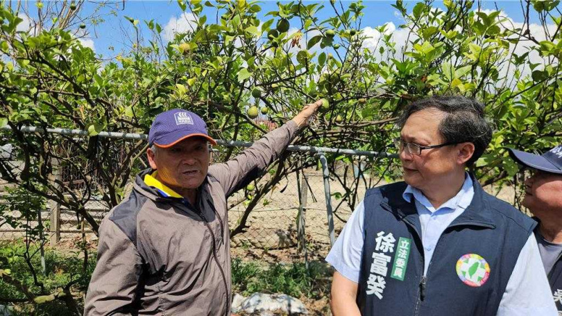 立委徐富癸（右）邀集農政相關單位到竹田鄉勘查檸檬受損災情，要求相關單位盡快啟動農損機制，以減少農民損失。（圖／中國時報羅琦文攝）