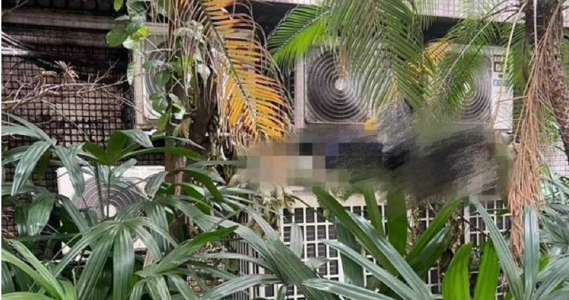  台北市立聯合醫院忠孝院區發生離奇命案，一名男子被發現陳屍在室外室外機上，且遺體已經嚴重腐壞，經警方調查確認，死者為一名68歲莊姓男子。（圖／報系資料照）
