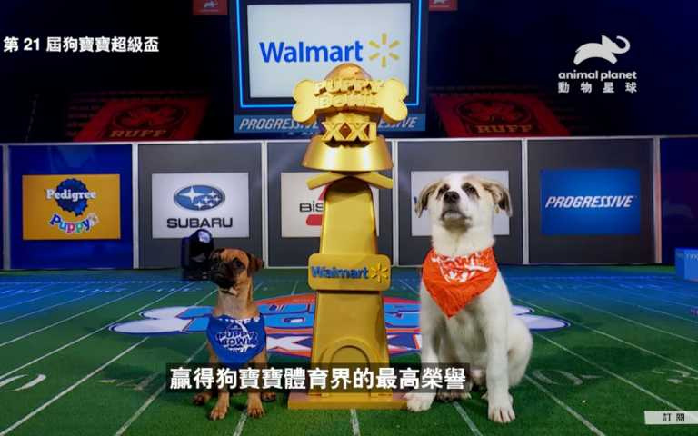 （圖／取自動物星球頻道）