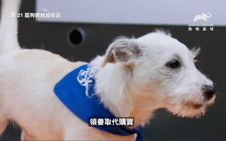 （圖／取自動物星球頻道）
