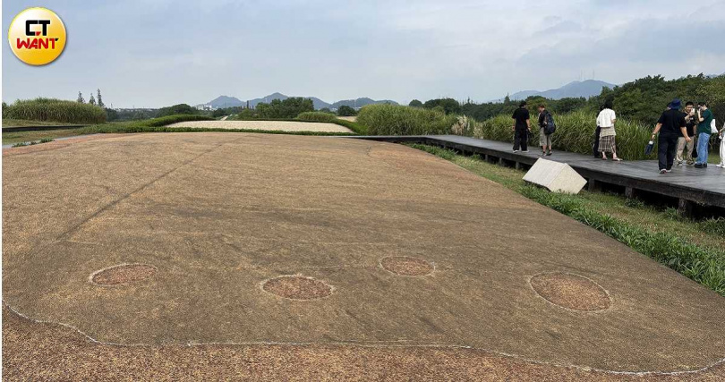 良渚古城的核心區面積即超過300公頃,有相當完整的街道、建築及明顯的水利工程結構。(圖╱王若攝)