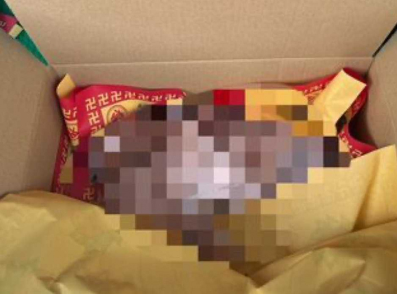 張姓女租客臨走前獨留寵物兔在家，房東發現已死亡多時。（圖／翻攝畫面）