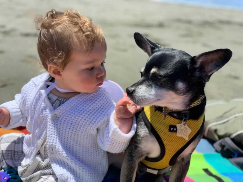 魯夫斯自2016年由舊金山SPCA領養,陪伴Reiff一家度過婚禮與孩子成長。